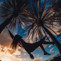 Отзыв от Алиса - DTV виза